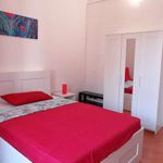 Rent a room in Montelupo Fiorentino