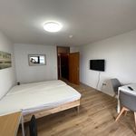 Miete 1 Schlafzimmer wohnung von 29 m² in Nürnberg