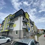 Rent 2 bedroom apartment of 55 m² in Zichovec