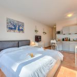 Rent 1 bedroom apartment of 26 m² in Lugano