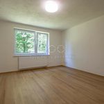 Rent 2 bedroom apartment in Karvina