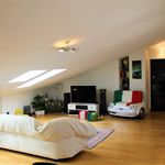 Rent 5 bedroom house of 316 m² in Novara