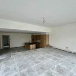 Maison de 206 m² avec 4 chambre(s) en location à Ninove