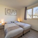 Rent 6 bedroom house in Susteren