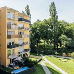 Rent 3 bedroom apartment of 65 m² in Steiermark