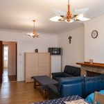 Rent 2 bedroom apartment of 73 m² in Borsbeek