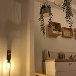 Rent 1 bedroom apartment of 25 m² in Albergaria-a-Velha
