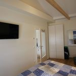Rent 2 bedroom apartment of 40 m² in Rostock