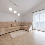 Rent 1 bedroom house of 841 m² in Chomutov