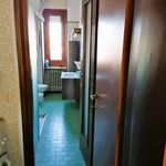 Rent 3 bedroom apartment of 90 m² in Milano