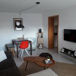 Rent 2 bedroom apartment of 38 m² in Heidelberg