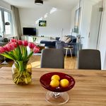 Rent 4 bedroom apartment of 110 m² in Dossenheim