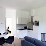 Rent 1 bedroom apartment of 55 m² in The Hague