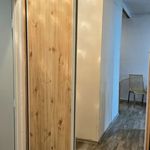 Rent 1 bedroom apartment of 34 m² in Havirov