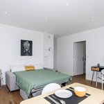 Rent 1 bedroom apartment of 25 m² in ROANNE