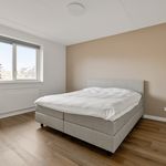 Rent 5 bedroom house of 140 m² in Schagen