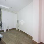 Affitto 1 camera appartamento di 400 m² in L'Aquila