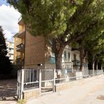 Rent 1 bedroom apartment in Bologna