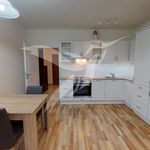 Rent 2 bedroom apartment of 47 m² in Plzeň