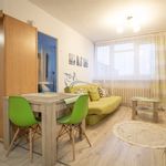 Rent 2 bedroom apartment of 33 m² in Bielsko-biała