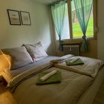 Miete 2 Schlafzimmer wohnung von 45 m² in Oberstaufen