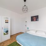 Rent 4 bedroom apartment in Strasbourg