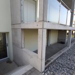 Rent 2 bedroom apartment in Birrwil