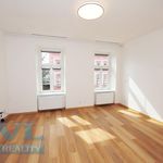Rent 1 bedroom apartment of 37 m² in Brno