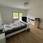 Rent 2 bedroom apartment of 58 m² in Gummersbach