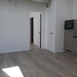 Rent 1 bedroom apartment of 45 m² in Alkmaar