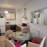 Rent 2 bedroom apartment of 45 m² in Ivry-sur-Seine