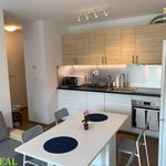 Rent 3 bedroom apartment of 57 m² in Jáchymov