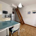 Affitto 1 camera appartamento di 55 m² in Pisa