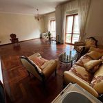 Affitto 3 camera appartamento di 140 m² in Belvedere di Spinello