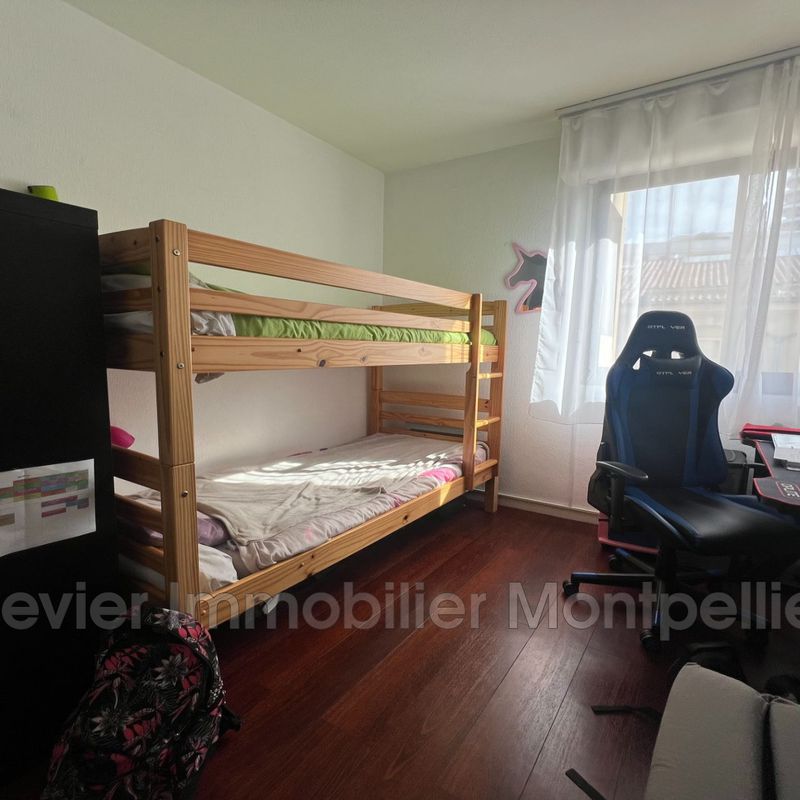 apartment at Montpellier