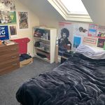 Rent 1 bedroom student apartment in 15