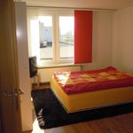 Rent 2 bedroom apartment in Zürich
