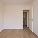 Rent 1 bedroom apartment in Merchtem