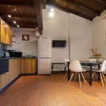 Rent 1 bedroom apartment of 44 m² in Bologna