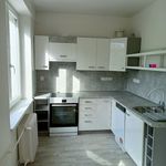 Rent 2 bedroom apartment of 55 m² in Pilsen