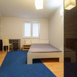 Rent 1 bedroom apartment of 49 m² in Poznań
