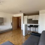 Rent 1 bedroom apartment of 33 m² in Wien