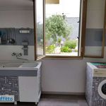 Rent 3 bedroom apartment of 80 m² in Trapani