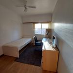 Alugar 4 quarto apartamento em São Marcos