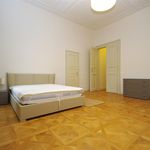 Rent 2 bedroom apartment of 91 m² in Praha