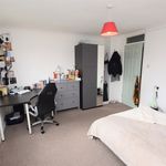 Rent 2 bedroom apartment in Colchester