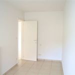 Rent 2 bedroom apartment in Nazareth