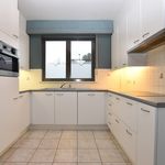 Rent 2 bedroom apartment of 124 m² in Wommelgem