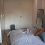Rent 1 bedroom apartment in munich