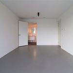 Kamer van 163 m² in Rotterdam